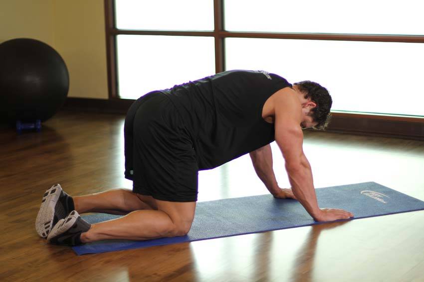 Mobility & Recovery